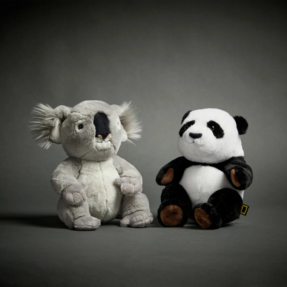 Disney Store National Geographic Peluche Moyenne Bébé Koala 2 Disney Store National Geographic Peluche Moyenne Bébé Koala – Image 2
