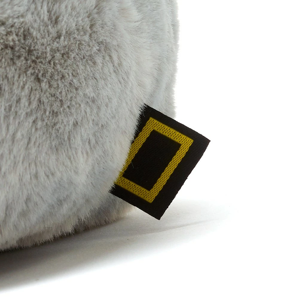 Disney Store National Geographic Peluche Moyenne Bébé Koala 5 Disney Store National Geographic Peluche Moyenne Bébé Koala – Image 5