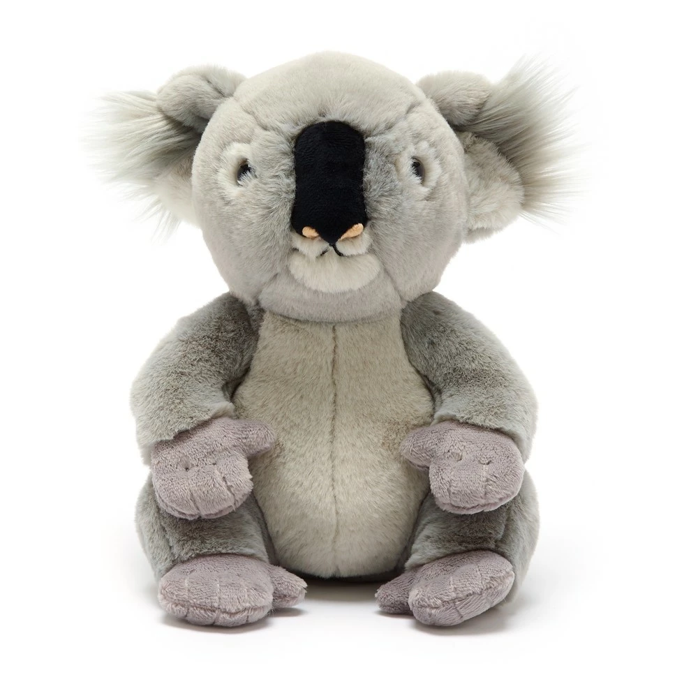 Disney Store National Geographic Peluche Moyenne Bébé Koala 1 Disney Store National Geographic Peluche Moyenne Bébé Koala