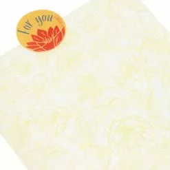 Disney Store Coffret De Pâtisserie à Offrir La Princesse Et La Grenouille -Disney Store 465013382831 4