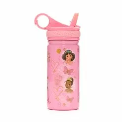 Disney Store Gourde Princesses Disney Classique En Acier Inoxydable -Disney Store 465021926072 2