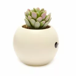 Disney Store Plante Artificielle En Pot Baymax, Les Nouveaux Héros -Disney Store 465043353962 3