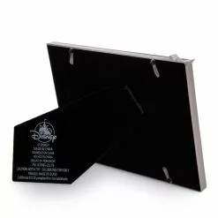 Disney Store Disneyland Resort Cadre Photo Disney100 Celebration 5 Disney Store Disneyland Resort Cadre Photo Disney100 Celebration -Disney Store 465043582997 2