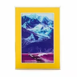 Disney Store Pin's National Geographic Océan