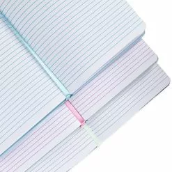 Disney Store Lot De 3 journaux Walt Disney's Disneyland, Disney100 Eras -Disney Store 466043802443 4