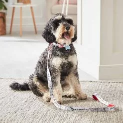 Disney Store Collier Pour Chien Les 101 Dalmatiens -Disney Store 6504051700029M 2